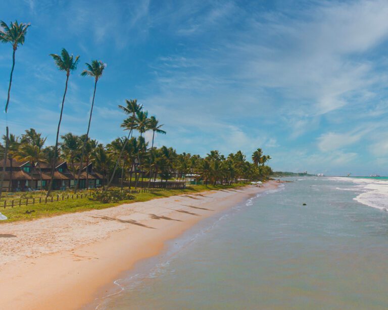 maceio-maicon-teixeira-xXyuji8-te4-unsplash (1)