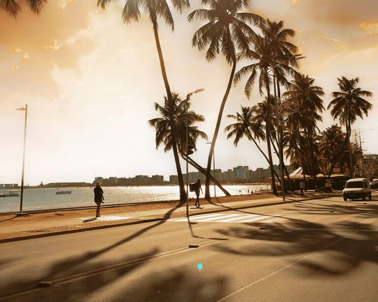 maceioalexandre-novelletto-LAgINsoBrSI-unsplash