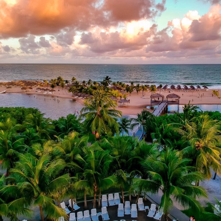 pratagy513833777_18511802617018269_6671290369657261435_n